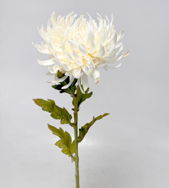 Chryzantema x1 60cm 24/240