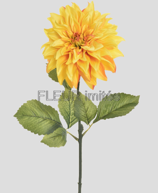 Jiřina x1 72cm LUX  12/144