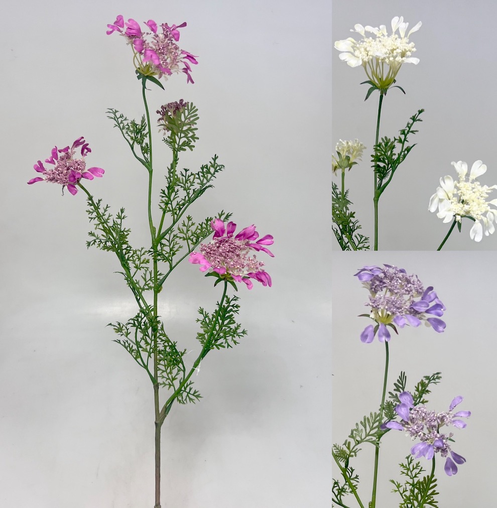 Kopr kvet.x4  95cm 12/96