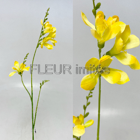 Frezie x3 98cm 36/360