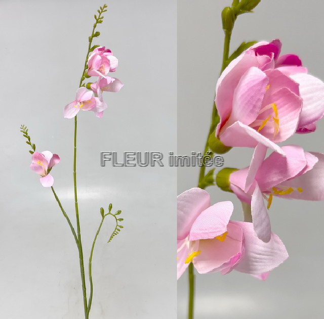 Frezie x3 98cm 36/360