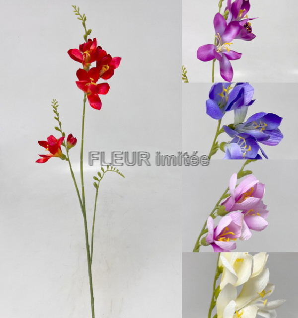 Frezie x3 98cm 36/360