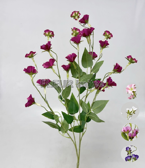 Clematis x4 89cm  18/180