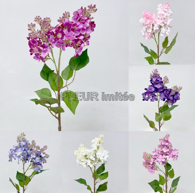 Šeřík x4 72cm  24/240