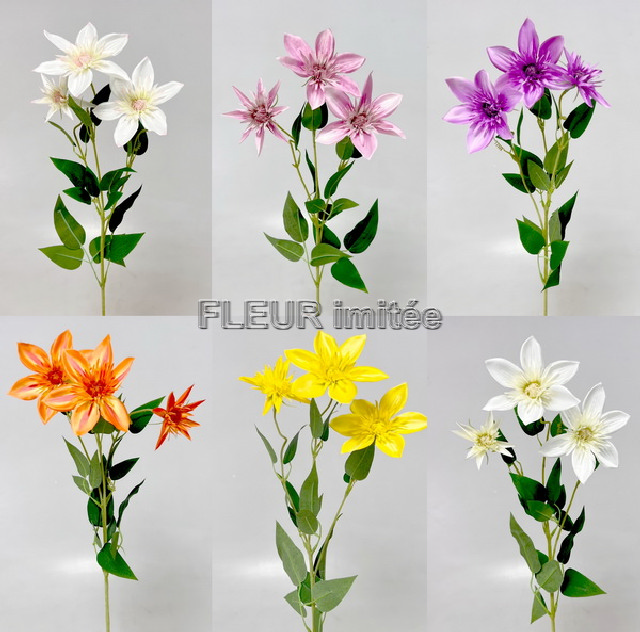 Clematis x3 74cm  36/360