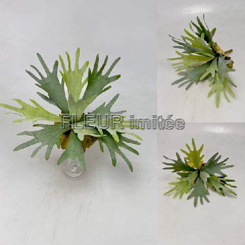 Parožnatka 35cm  12/72