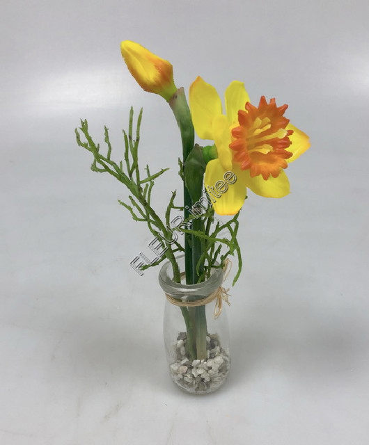 Narcis x4 25cm latex  6/72