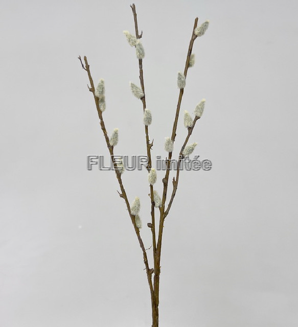 Kočičky x2  40cm 24/144