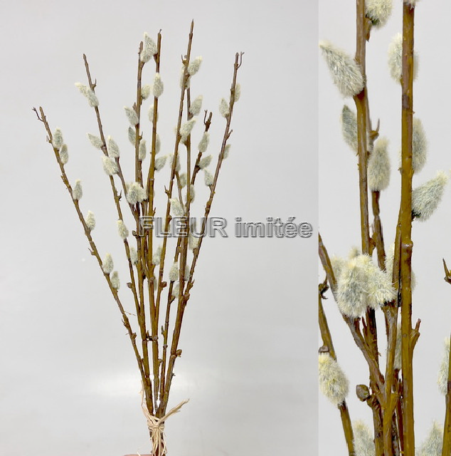 Kočičky x2  40cm 24/144